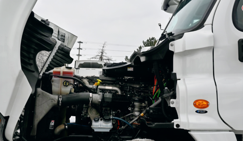 
								2019 Freightliner Daycab full									
